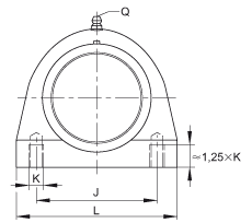 直立式軸承座單元 RSHEY25-TV-VA, 塑料軸承座，內(nèi)圈帶平頭螺釘?shù)耐馇蛎媲蜉S承，耐腐蝕設(shè)計(jì)，R 型密封
