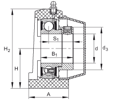 直立式軸承座單元 PSHE40-TV-FA125.5, 塑料軸承座，帶偏心鎖圈的外球面球軸承，帶 Corrotect? 涂層，P型密封