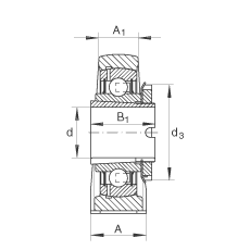 直立式軸承座單元 RASEA30-N, 鑄鐵軸承座，帶緊定套的外球面球軸承，R 型密封