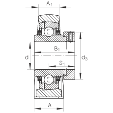 直立式軸承座單元 TSHE55, 鑄鐵軸承座，帶偏心鎖圈的外球面球軸承，T 型密封